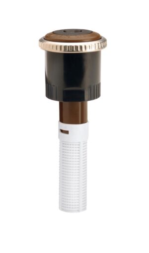 Dysza  MP SS centralna-długi bok brązowa